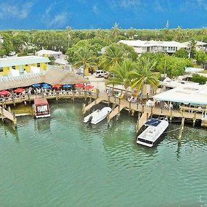 Snappers Key Largo